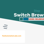 Handling a new browser window with Selenium WebDriver